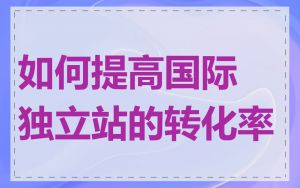 如何提高国际独立站的转化率