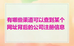 有哪些渠道可以查到某个网址背后的公司注册信息