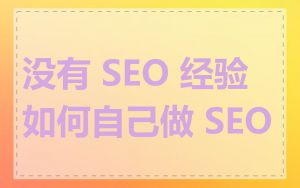 没有 SEO 经验如何自己做 SEO