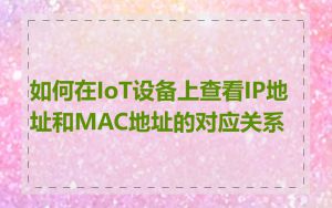如何在IoT设备上查看IP地址和MAC地址的对应关系
