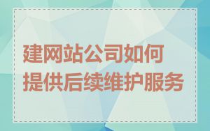 建网站公司如何提供后续维护服务
