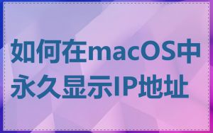 如何在macOS中永久显示IP地址