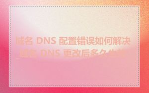 域名 DNS 配置错误如何解决_域名 DNS 更改后多久生效
