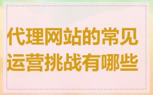 代理网站的常见运营挑战有哪些