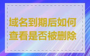 域名到期后如何查看是否被删除