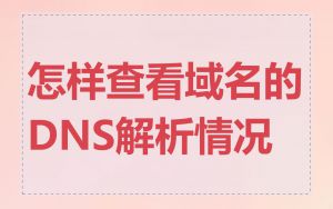 怎样查看域名的DNS解析情况