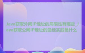 Java获取外网IP地址的局限性有哪些_Java获取公网IP地址的最佳实践是什么