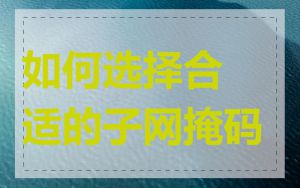 如何选择合适的子网掩码