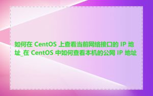 如何在 CentOS 上查看当前网络接口的 IP 地址_在 CentOS 中如何查看本机的公网 IP 地址