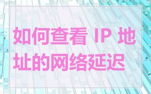 如何查看 IP 地址的网络延迟