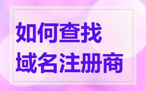 如何查找域名注册商