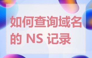 如何查询域名的 NS 记录