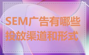 SEM广告有哪些投放渠道和形式