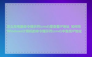 怎么在电脑命令提示符(cmd)里查看IP地址_如何在Windows计算机的命令提示符(cmd)中查找IP地址
