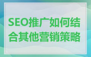 SEO推广如何结合其他营销策略