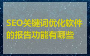 SEO关键词优化软件的报告功能有哪些