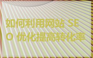 如何利用网站 SEO 优化提高转化率