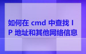 如何在 cmd 中查找 IP 地址和其他网络信息