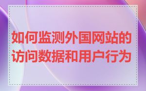 如何监测外国网站的访问数据和用户行为