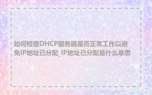 如何检查DHCP服务器是否正常工作以避免IP地址已分配_IP地址已分配是什么意思
