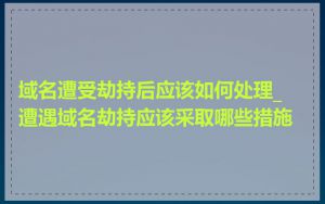 域名遭受劫持后应该如何处理_遭遇域名劫持应该采取哪些措施