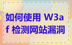 如何使用 W3af 检测网站漏洞