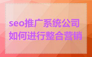 seo推广系统公司如何进行整合营销