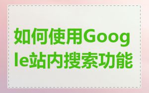 如何使用Google站内搜索功能