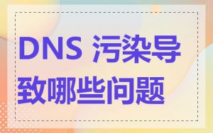 DNS 污染导致哪些问题