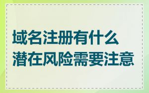 域名注册有什么潜在风险需要注意