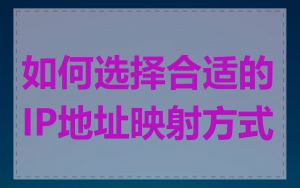 如何选择合适的IP地址映射方式