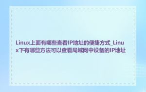 Linux上面有哪些查看IP地址的便捷方式_Linux下有哪些方法可以查看局域网中设备的IP地址