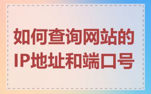 如何查询网站的IP地址和端口号
