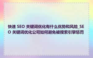 快速 SEO 关键词优化有什么优势和风险_SEO 关键词优化公司如何避免被搜索引擎惩罚