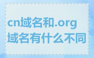 cn域名和.org域名有什么不同