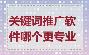 关键词推广软件哪个更专业