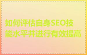 如何评估自身SEO技能水平并进行有效提高