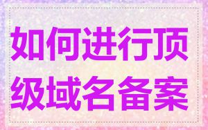 如何进行顶级域名备案