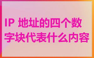 IP 地址的四个数字块代表什么内容