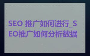 SEO 推广如何进行_SEO推广如何分析数据