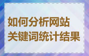 如何分析网站关键词统计结果
