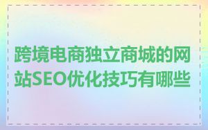 跨境电商独立商城的网站SEO优化技巧有哪些