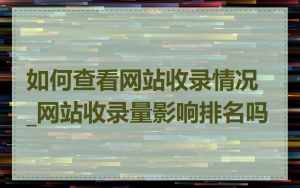 如何查看网站收录情况_网站收录量影响排名吗
