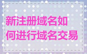新注册域名如何进行域名交易