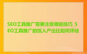 SEO工具推广需要注意哪些技巧_SEO工具推广的投入产出比如何评估