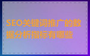 SEO关键词推广的数据分析指标有哪些