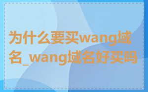 为什么要买wang域名_wang域名好买吗