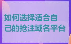 如何选择适合自己的抢注域名平台
