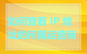 如何查看 IP 地址的所属运营商