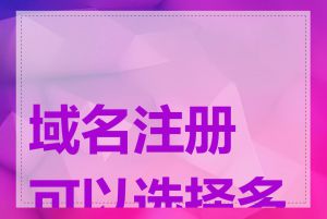 域名注册可以选择多久